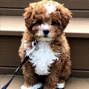 Meet your Posher, Christina